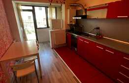 Apartament de 2 camere, 35 mp, 40 mp grădina, parcare, zona Terra