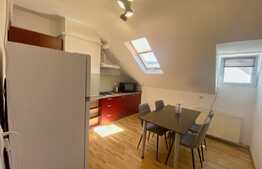 Apartament 2 camere, 65 mp, lux, tip loft, zona Observatorului