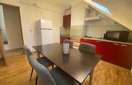 Apartament 2 camere, 65 mp, lux, tip loft, zona Observatorului