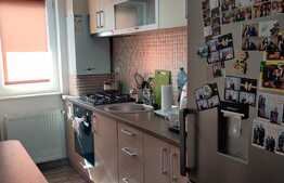 Apartament de 2 camere, 44 mp, decomandat, parcare, zona Cetatii