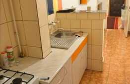 Apartament 1 camera de vanzare, 42 mp utili, zona N. Titulescu