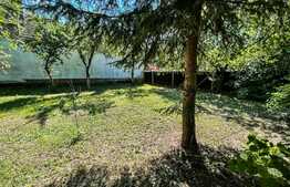 Casa 3 camere, 750 mp teren, in Sacele