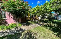 Casa 3 camere, 750 mp teren, in Sacele