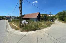 Exclusivitate! Teren intravilan, 1000 mp, Dezmir