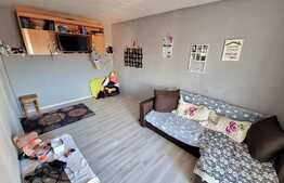 Garsonieră 23 mp, etaj intermediar, semidecomandata, Semicentral