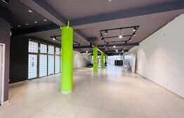 Spatiu comercial stradal, 1200 mp, zona Expo Transilvania