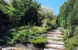 Spatiu birou in vila, 117 mp, cu gradina, cartier Andrei Muresanu