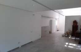 Spatiu birou in vila, 117 mp, cu gradina, cartier Andrei Muresanu