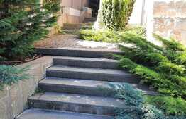 Spatiu birou in vila, 117 mp, cu gradina, cartier Andrei Muresanu