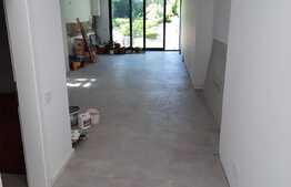 Spatiu birou in vila, 117 mp, cu gradina, cartier Andrei Muresanu