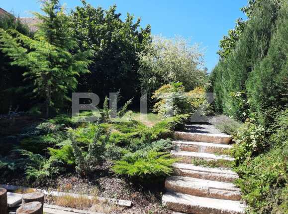 Spațiu birouri de închiriat Andrei Mureşanu - 92383SIB | BLITZ Cluj-Napoca | Poza6