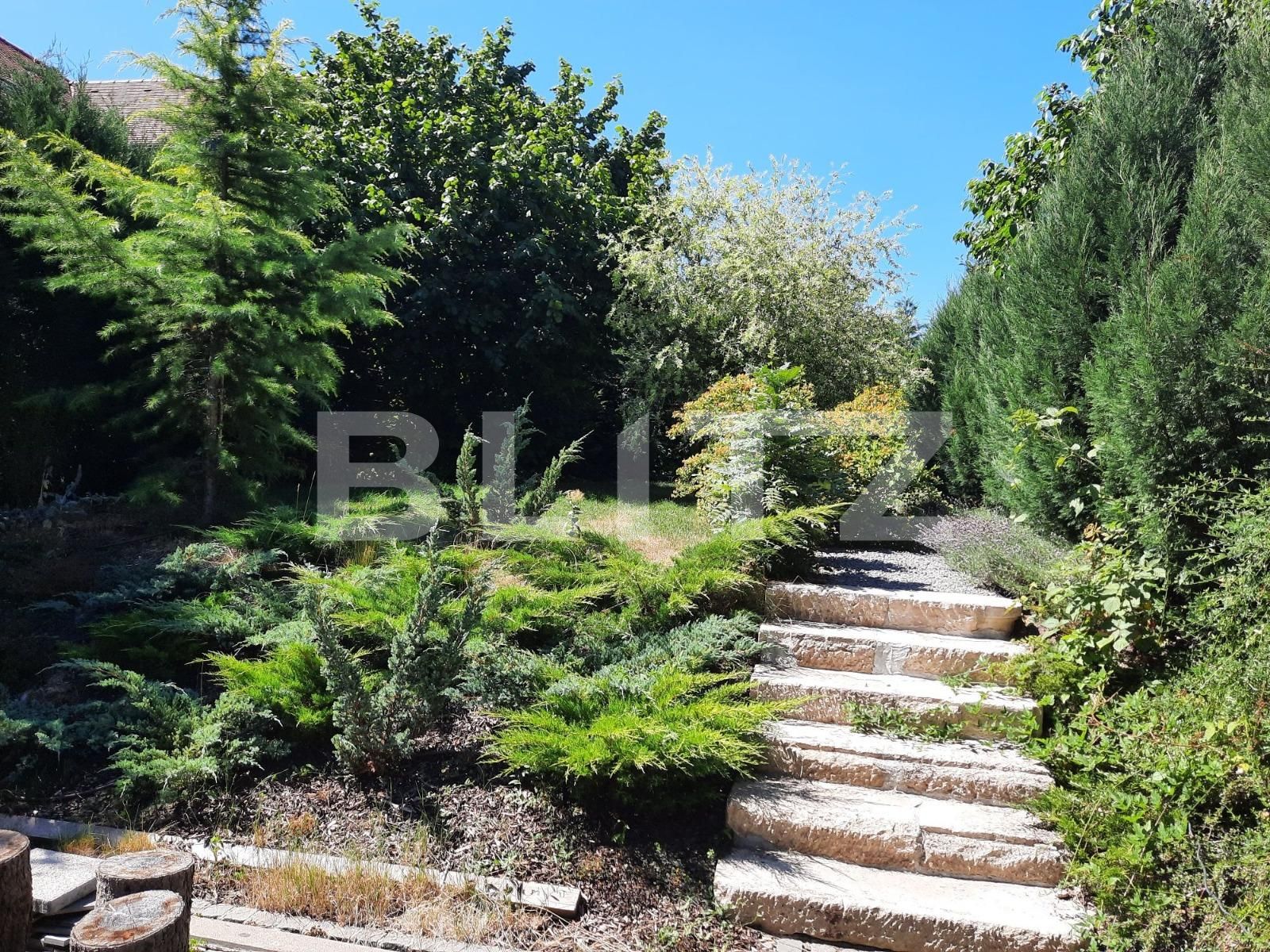 Spațiu birouri de închiriat Andrei Mureşanu - 92383SIB | BLITZ Cluj-Napoca | Poza6