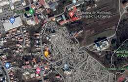 Casa, anexa si spatiu comercial, teren 820 mp, zona USAMV 