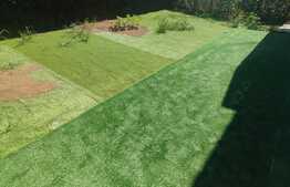 Apartament 2 camere, decomandat , 50 mp, gradina 60 mp, parcare, zona BMW