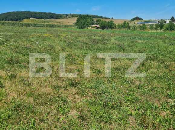 Teren de vânzare Coruşu - 92465TV | BLITZ Cluj-Napoca | Poza1