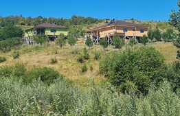 Teren intravilan, 2900 mp, pentru constructie casa in localitatea Corusu