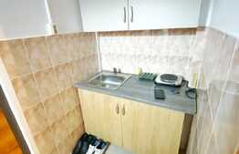 Garsoniera 21 mp, renovata, mobilata si utilata, zona Expo Transilvania