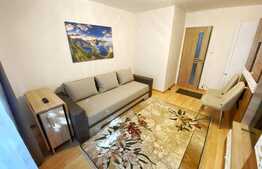 Garsoniera 21 mp, renovata, mobilata si utilata, zona Expo Transilvania