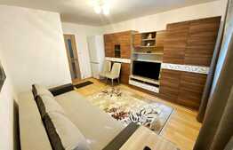 Garsoniera 21 mp, renovata, mobilata si utilata, zona Expo Transilvania