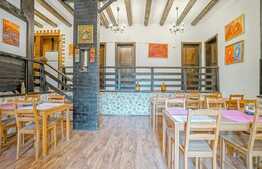 Pensiune/Vila pe Lac, 623 mp, teren 1360 mp, cartier Noua