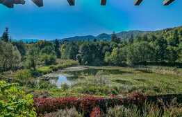 Pensiune/Vila pe Lac, 623 mp, teren 1360 mp, cartier Noua