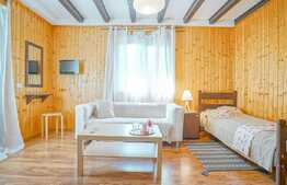 Pensiune/Vila pe Lac, 623 mp, teren 1360 mp, cartier Noua