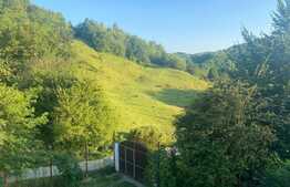 Pensiune / vila , 12 camere , valea prahovei . 