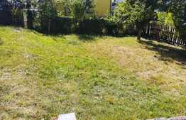 Casa individuala de 6 camere, 255 mp utili, 830 mp teren, Grigorescu