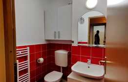 Apartament cu 3 camere decomandate, etaj intermediar, Marasti