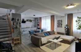 Apartament 4 camere, 143 mp, 2 nise, parcare, zona Teilor