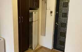 Garsonieră 20 mp, etaj intermediar, zona Sinterom Bulevardul Muncii