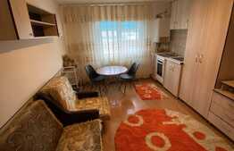 Garsonieră 20 mp, etaj intermediar, zona Sinterom Bulevardul Muncii