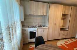 Garsonieră 20 mp, etaj intermediar, zona Sinterom Bulevardul Muncii