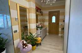 Oportunitate! Duplex de lux cu 3 dormitoare, 201 mp utili, Borhanci