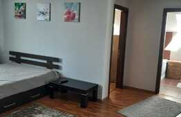 Apartament 1 cameră, 48 mp, balcon, Mărăști