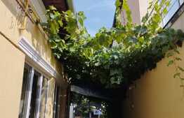 Casa individuala 130 mp utili, 265 mp teren, zona Iris