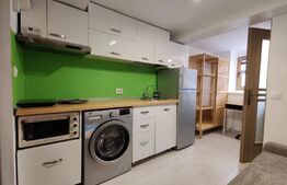 Garsoniera Lux în vilă, 15 mp, zona strazii Dimitrie Cantemir