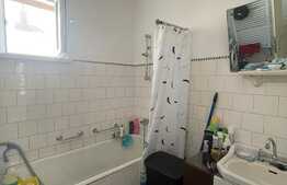 Casa individuala, 71 mp, teren 260 mp, terasa, zona Muzeul Apei 