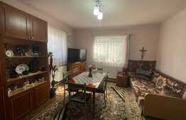 Casa individuala, 71 mp, teren 260 mp, terasa, zona Muzeul Apei 