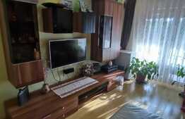 Duplex de vanzare pozitionare sud-vestica, 122 mp, teren 200 in zona strazii Somesului 