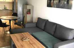 Apartamnet de 2 camere, 42 mp, etaj intermediar, zona Iulius Mall