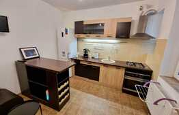 Proprietate unica! Apartament de o camera, mobilat/utilat, ultracentral!