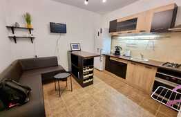 Proprietate unica! Apartament de o camera, mobilat/utilat, ultracentral!