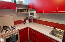 Oportunitate! Garoniera confort sporit, etaj intermediar, zona P-ta Flora