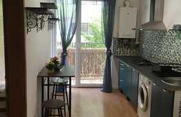 Garsoniera moderna, 31 mp, balcon, proaspat renovata, zona Porii