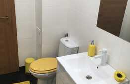 Garsoniera moderna, 31 mp, balcon, proaspat renovata, zona Porii