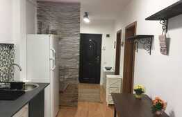 Garsoniera moderna, 31 mp, balcon, proaspat renovata, zona Porii