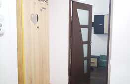 Apartament de 2 camere la casă, 42 mp, grădină, zona Făget-Tractorul