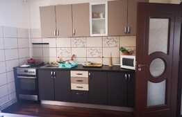 Apartament de 2 camere la casă, 42 mp, grădină, zona Făget-Tractorul