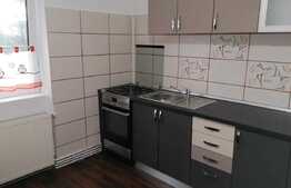 Apartament de 2 camere la casă, 42 mp, grădină, zona Făget-Tractorul